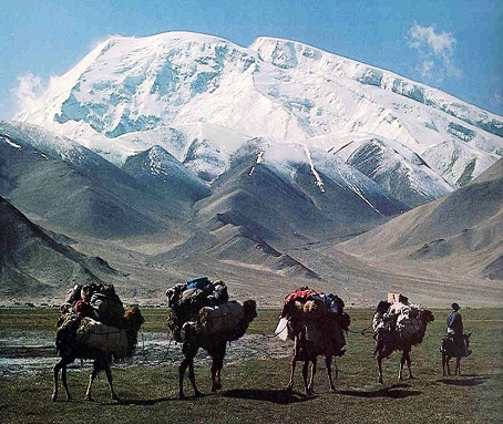 The Silk Road 